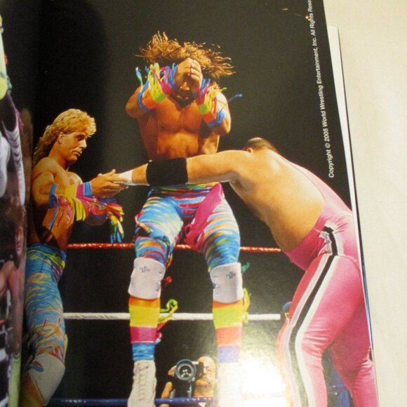WWE 2005 Shawn Michaels Heartbreak Triumph Black White WWF Wrestling Book - Picture 6 of 6